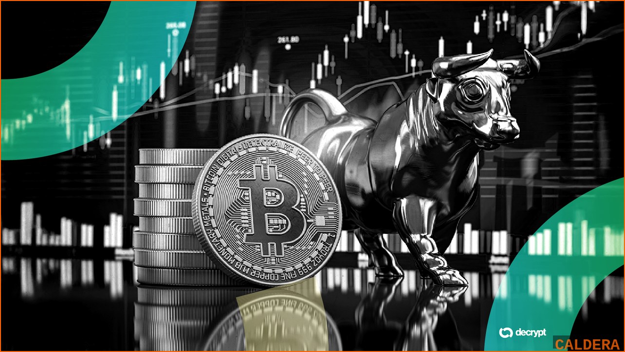비트코인 BTC 뉴스 - 비트코인 5개월래 최대 랠리… 시장 | 칼데라 크립토 커뮤니티