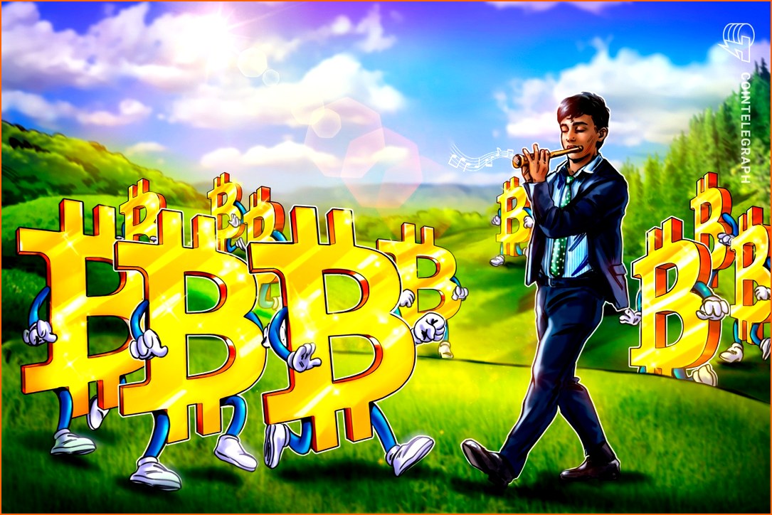 비트코인 BTC 뉴스 - 비트코인 단기 보유자, 30일 수익 | 칼데라 크립토 커뮤니티