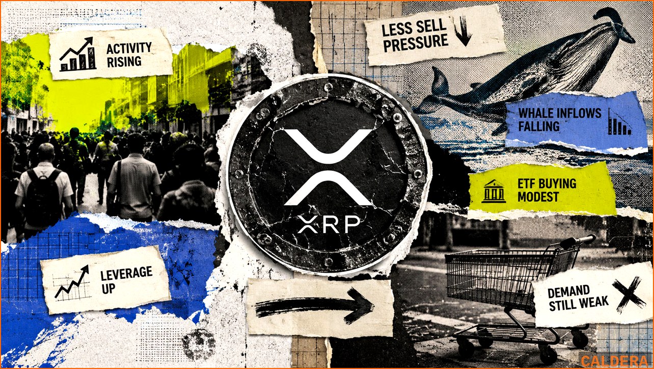 알트코인 ALT 뉴스 - XRP, 호재 속 1달러 갇힌 이유는 | 칼데라 크립토 커뮤니티