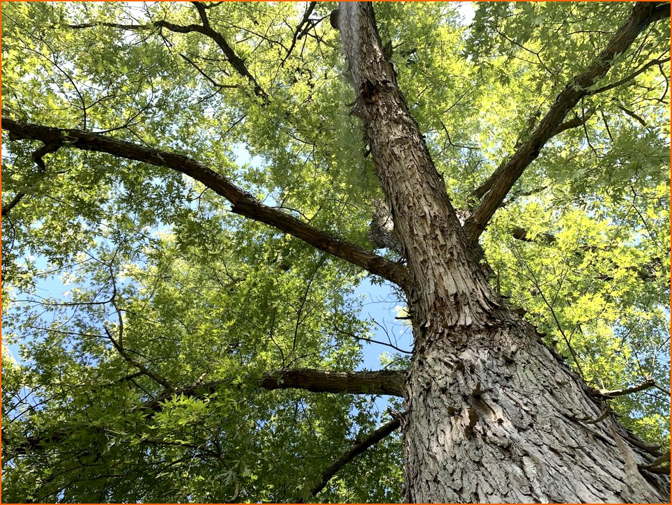 S&P500 FUTURES-SP500 뉴스 - ‘채권의 왕’ 건들락 경고: 주식시장 | 칼데라 크립토 커뮤니티