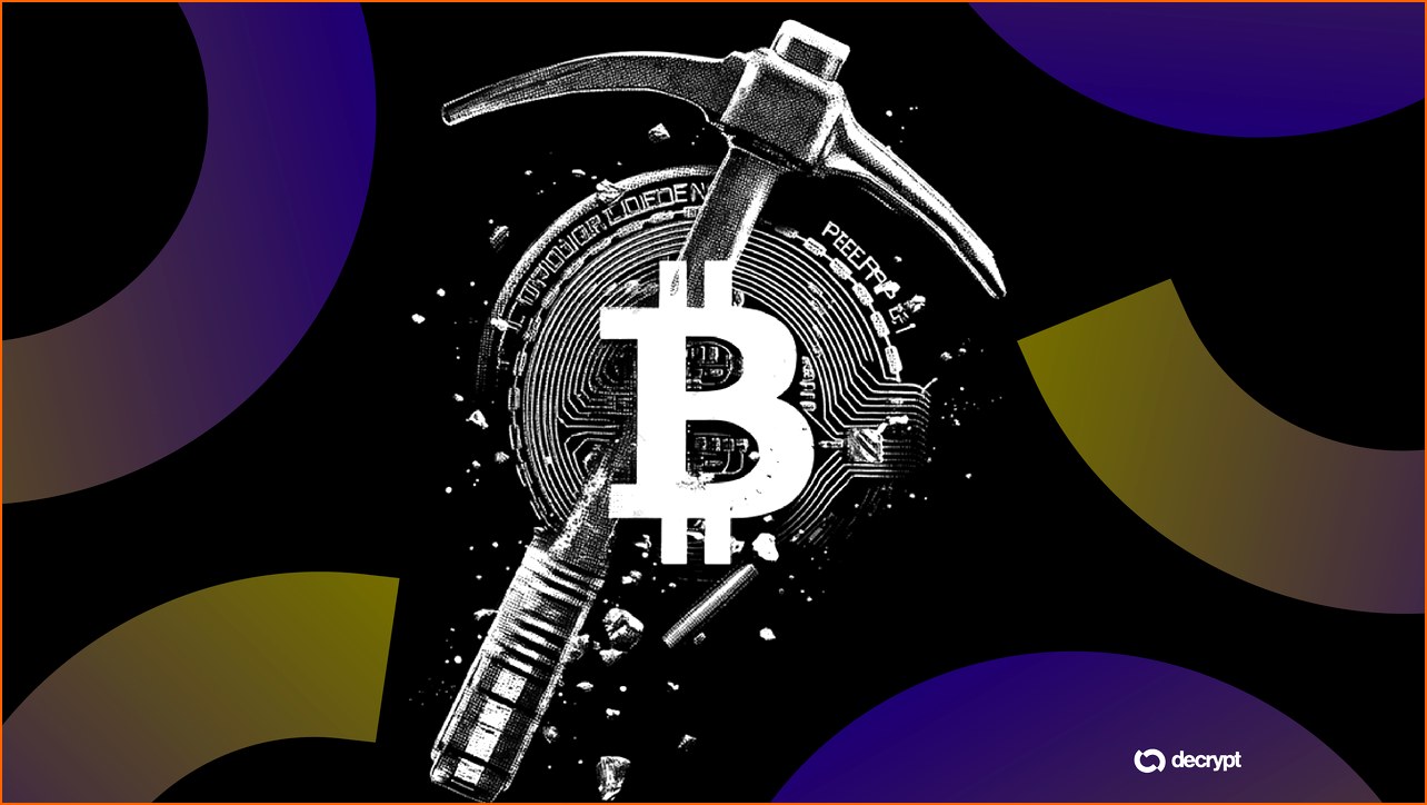 비트코인 BTC 뉴스 - 천재적인 발상? 파리 뇌로 비트코인 | 칼데라 크립토 커뮤니티