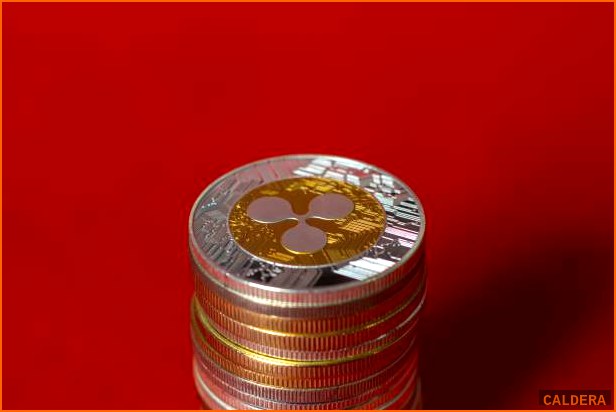 규제정책 POLICY 뉴스 - 코인베이스·리플 CEO, 차기 미 상 | 칼데라 크립토 커뮤니티