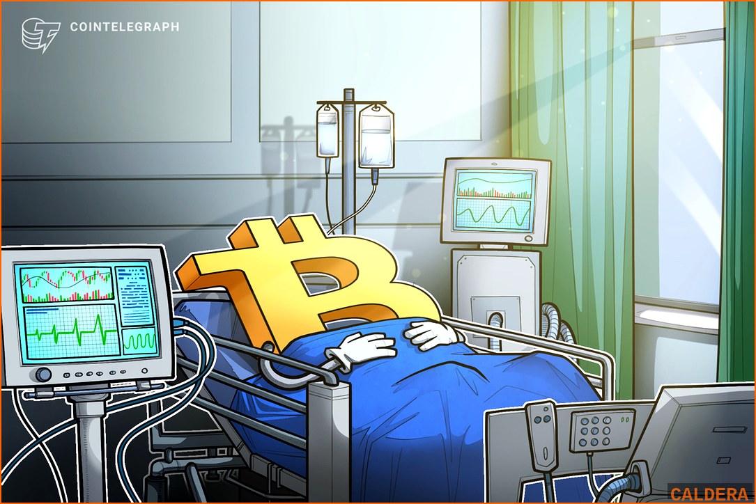 비트코인 BTC 뉴스 - 비트코인, ETF 훈풍 속 '1160 | 칼데라 크립토 커뮤니티