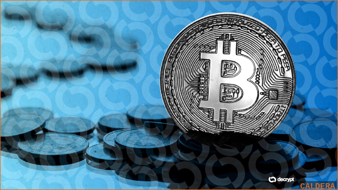 비트코인 BTC 뉴스 - 콜드카드 비트코인 탈취 둔화…피해액 | 칼데라 크립토 커뮤니티