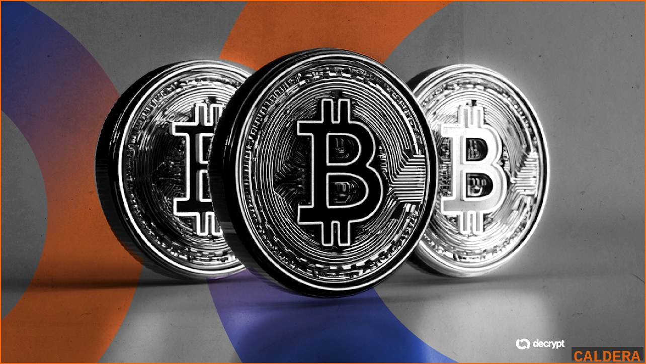 비트코인 BTC 뉴스 - 비트코인 랠리 속 '진짜' 상승 의심 | 칼데라 크립토 커뮤니티